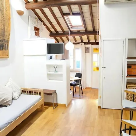 Trastevere Lovely Loft Appartamento *